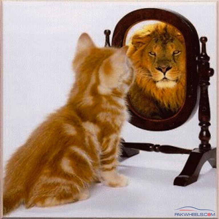Narcissism