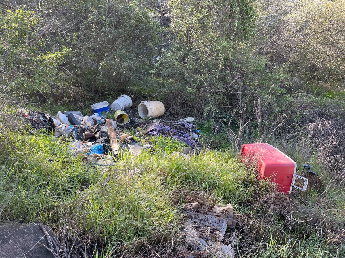 Hiking Bottle Peak in Escondido, California Norbert Haupt